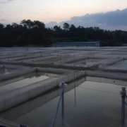 水产养殖网
