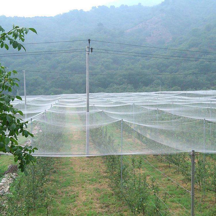 防冰雹网